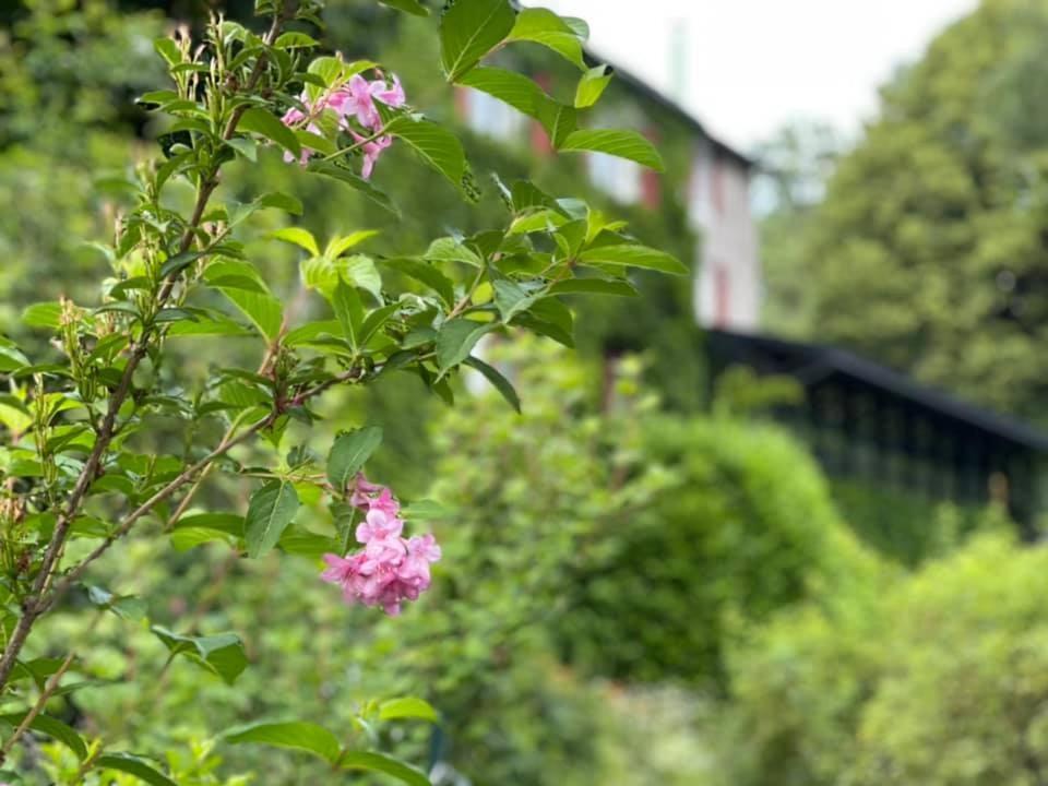 Les Grillons Du Morvan Montsauche-les-Settons Exterior foto